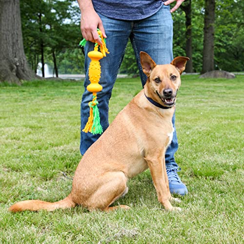 Duraplay Tug Of Fun Dumbbell Dog Toy #TOP6