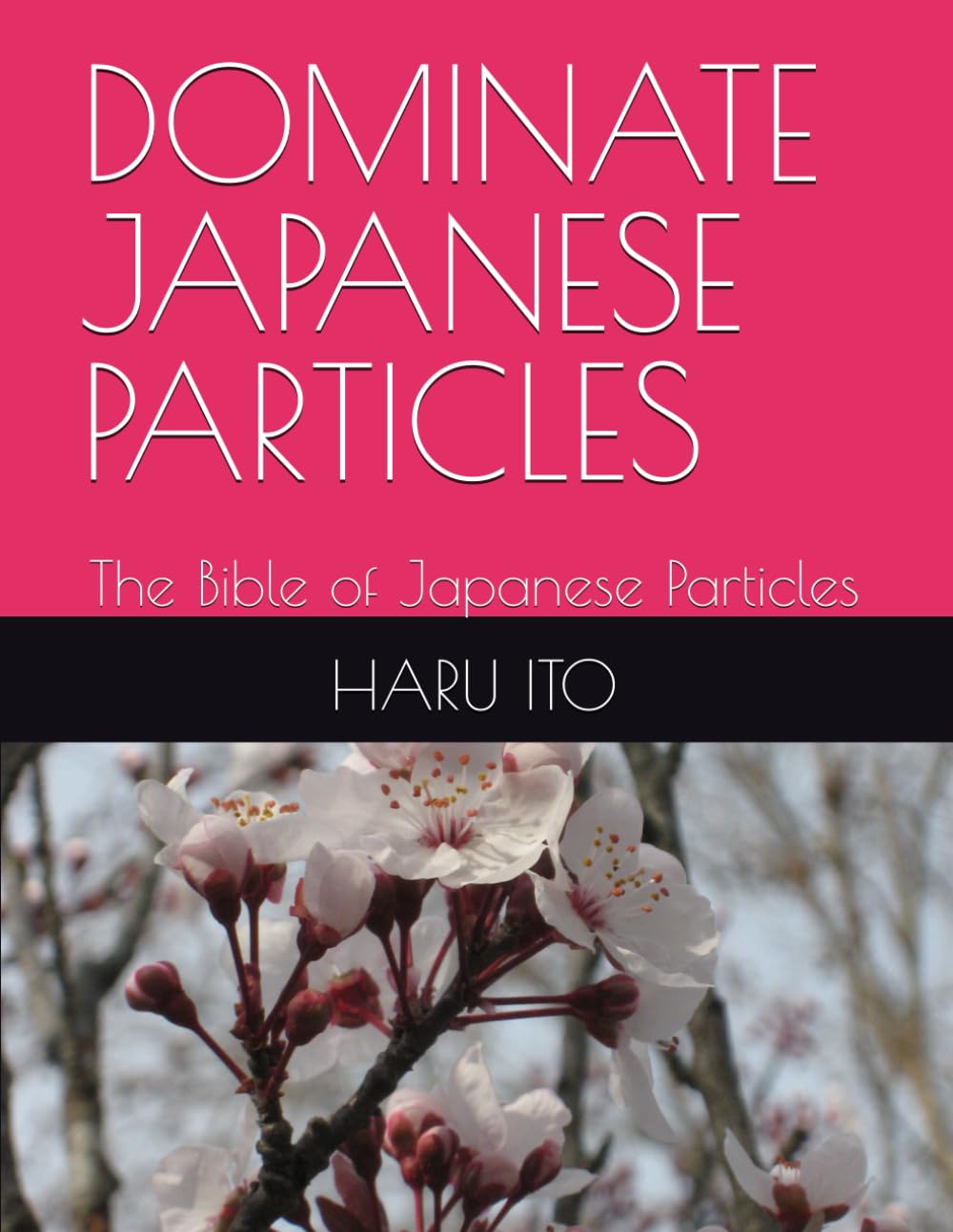 DOMINATE JAPANESE PARTICLES: The Bible of Japanese Particles
