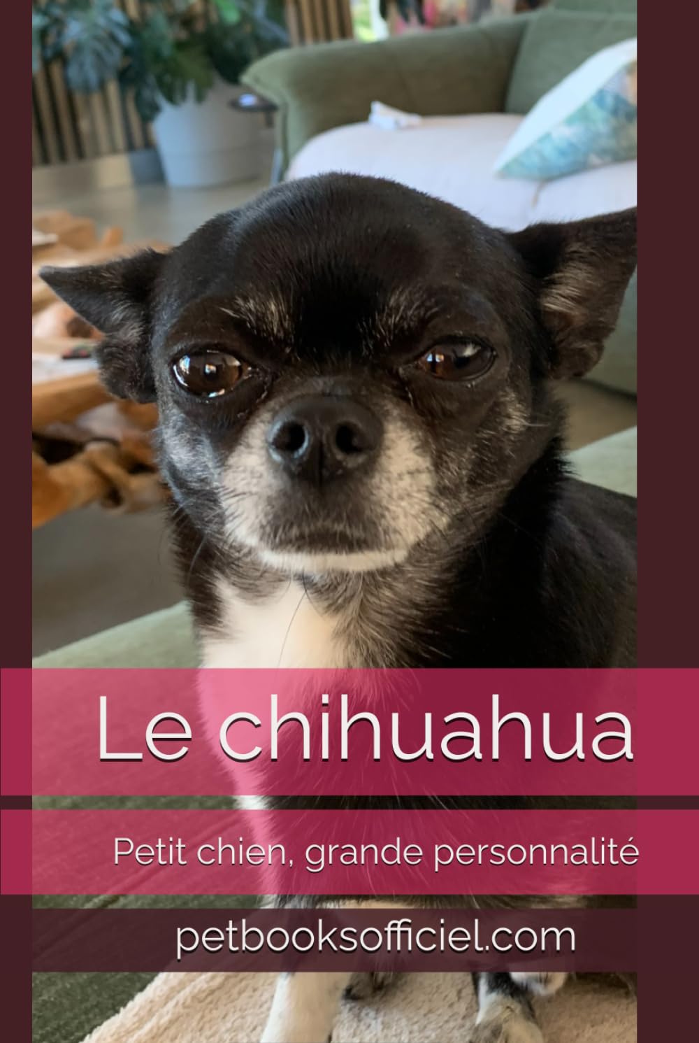 Le chihuahua 2025 .Petit chien, grande personnalité: Le guide bienveillant et complet pour vivre avec un mini compagnon au grand cœur (Les guides canins 2026 – Collection)
