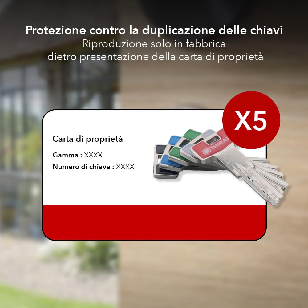 Cilindro serratura a doppio ingresso 30 x 40 mm, nichel antistrappo, anti-trapano, antiforatura, 5 chiavi, alta sicurezza, funzione scollegabile, livello di sicurezza 8, made in France, THIRARD