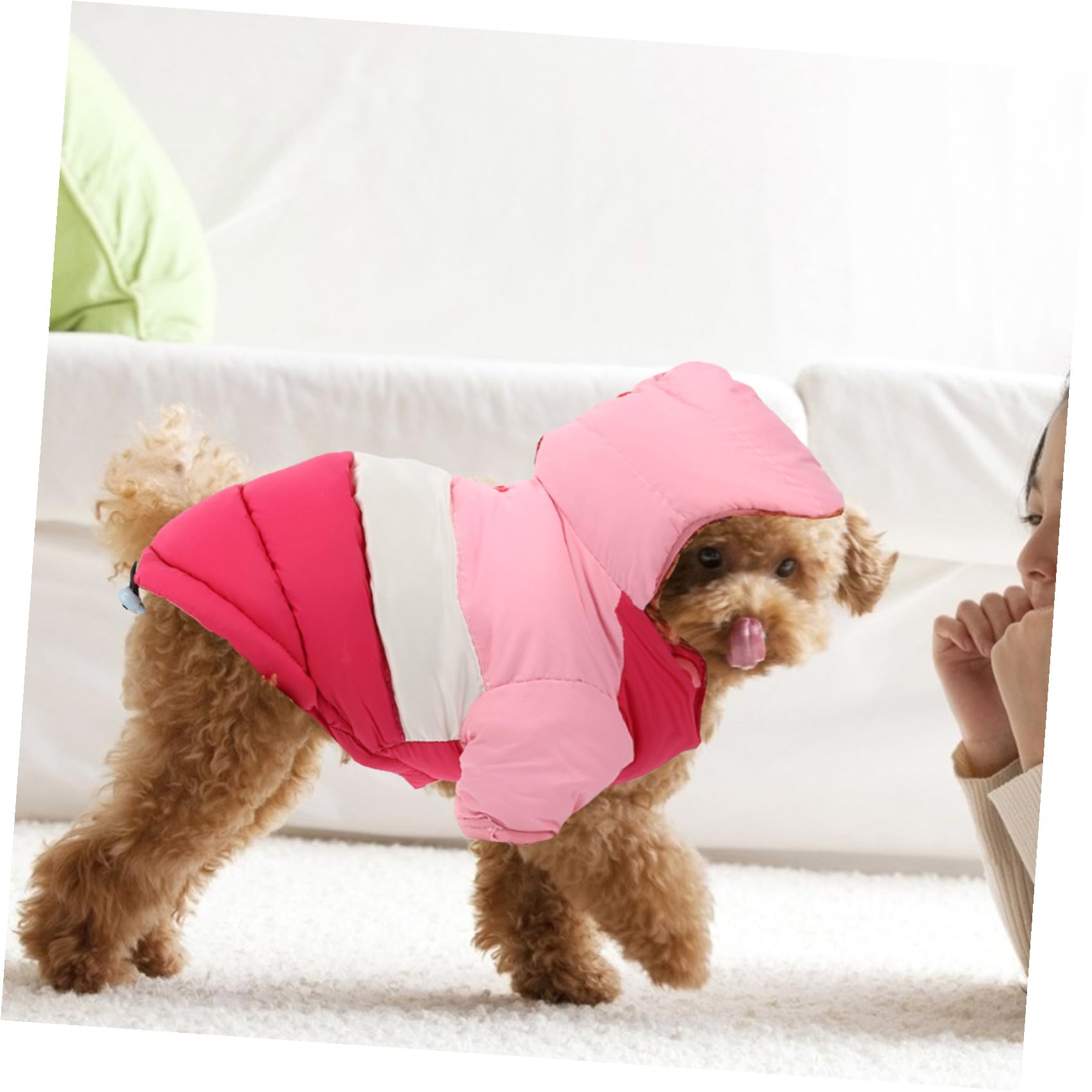 INOOMP 3pièces Gilet Doublé Duvet pour Chien Veste Hiver Réversible Coton Vêtements Chaleureux Et Élégants pour Chiens
