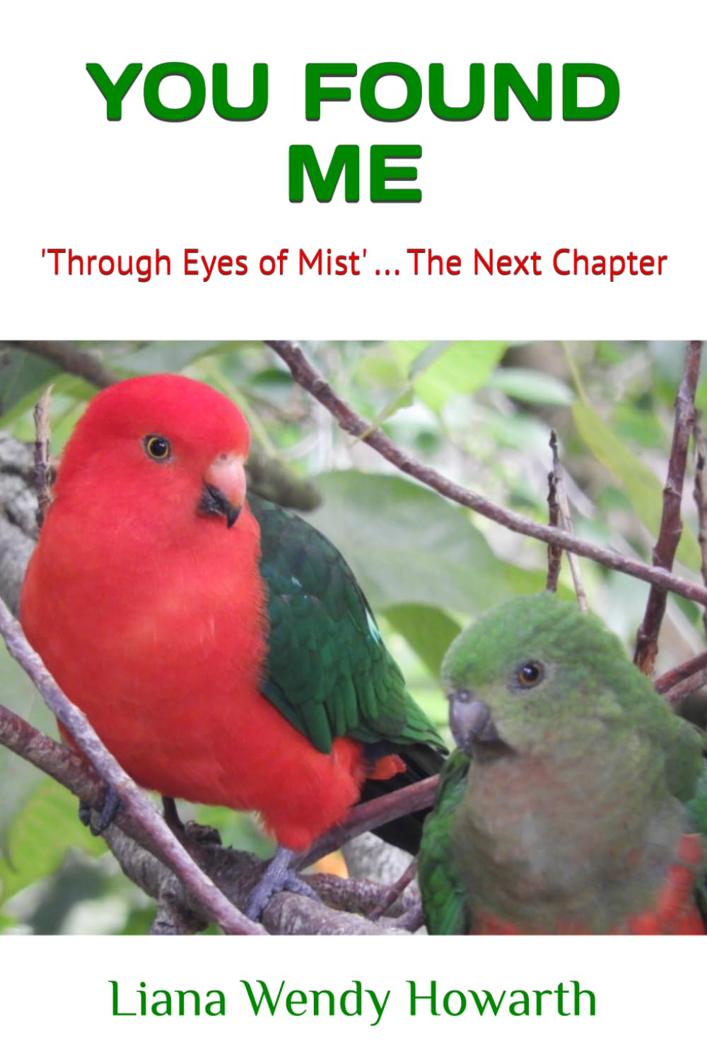 YOU FOUND ME: 'Through Eyes of Mist' ... The Next Chapter