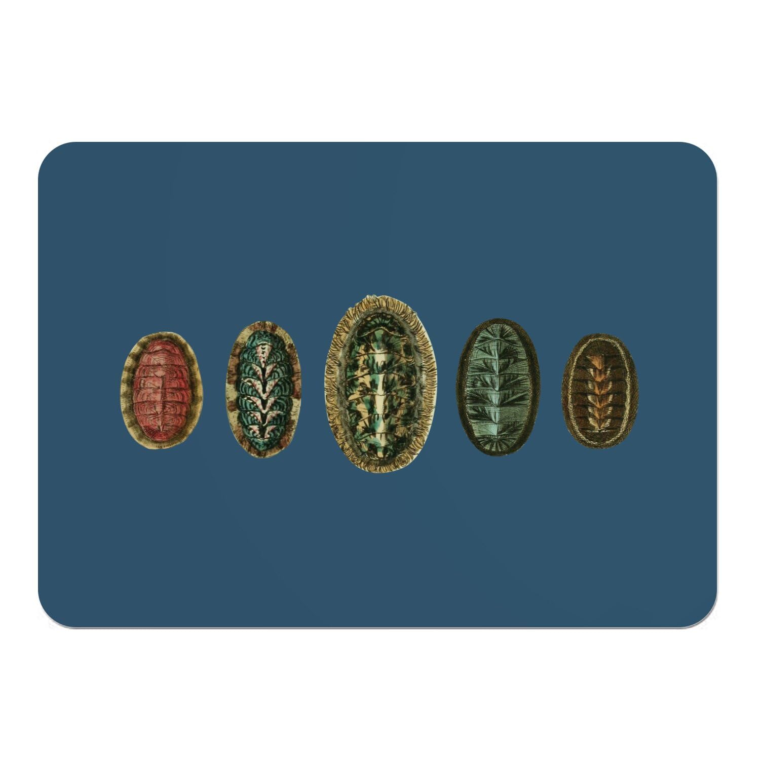 Set de table bleu en liège grand format x4 au design mollusques