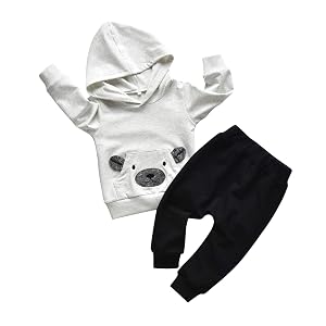 Toddler Infant Baby Boy Clothes Animal Style Long Sleeve Hoodie Tops Sweatsuit Pants Outfit Set