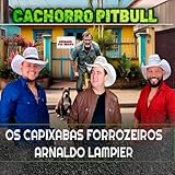  Cachorro Pitbull