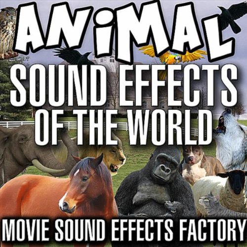 Amazon Music Movie Sound Effects FactoryのAnimal Sound Effects of the