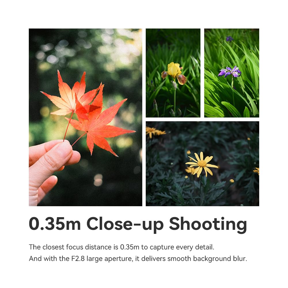 TTARTISAN Obiettivo AF 27 mm F2.8 APS-C autofocus obiettivo per Fuji X Mount (X, nero)