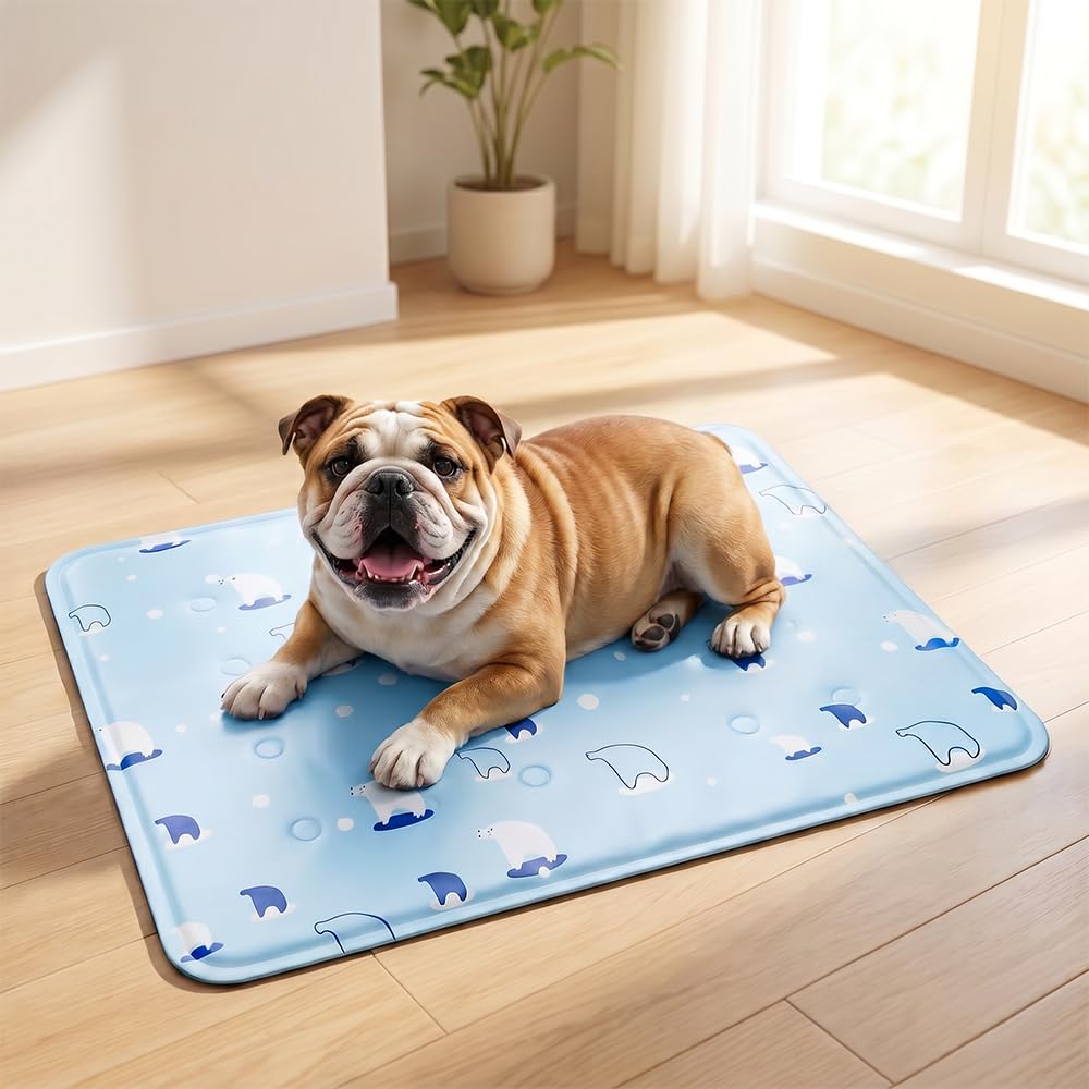 whatyam Dog Cat Cooling Mat with Gel, Self Cooling Dog Cool Mat for Summer, Scratch Resistant Pet Cooling Mat, Waterproof Dog Mat and Cooling Pad for Crate, Floor, Car (M:50x40cm)