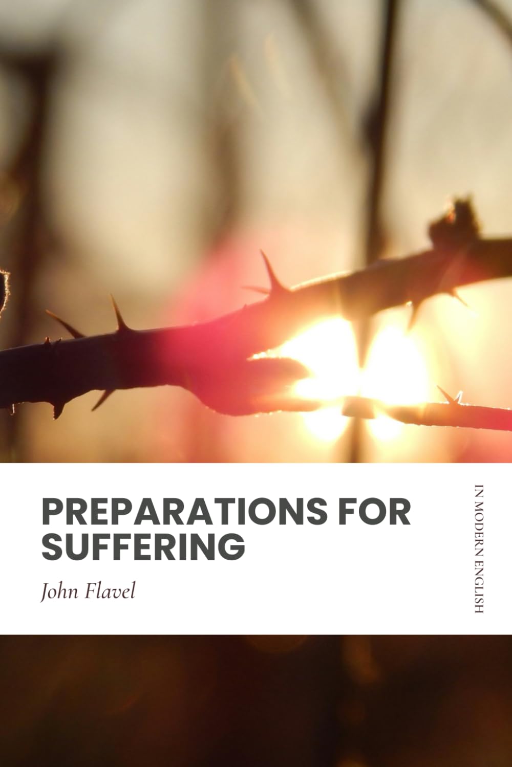 Preparations for Suffering: In Modern, Updated English