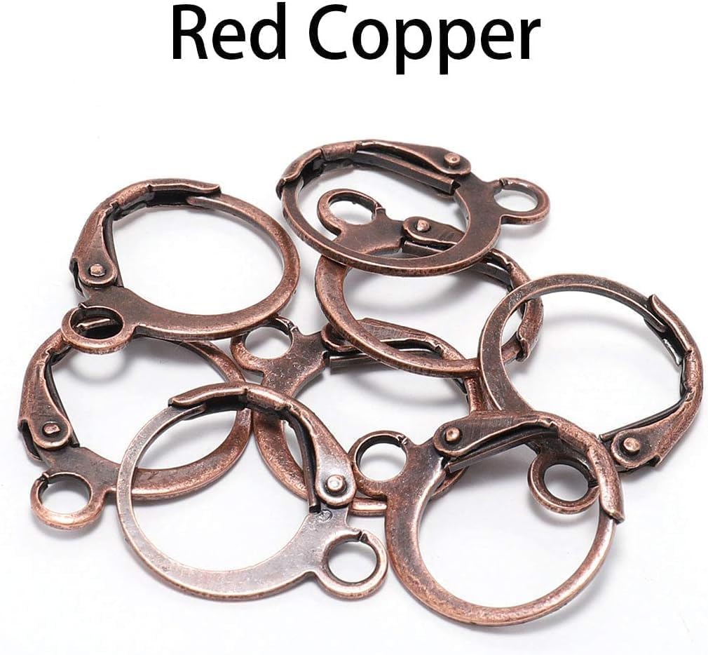 20 Pieces Surgical-Grade Stainless Steel Lever Earring Hooks - Open Loop Findings with 14×12mm Hoop Bases for DIY Jewelry Making Supplies (Brown) - Image 2