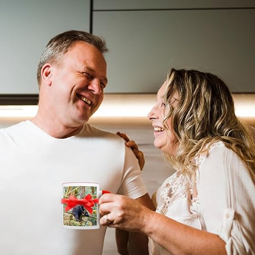 Miniatura 4 de 3dRose Black bear cub finds safety in a tree at Anan Creek. - Mugs (mug-380595-5)