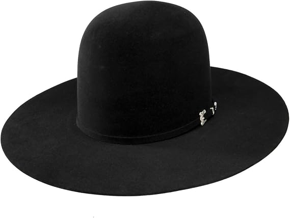 RESISTOL Men's 20X Felt Cowboy Hat 