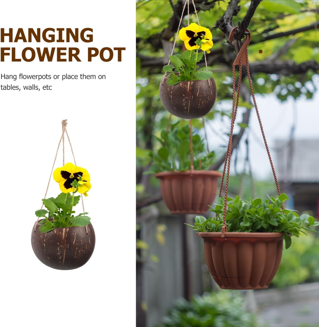 GANAZONO Coconut Shell Hanging Planter with Rope - Natural Indoor & Outdoor Hanging Pot for Orchids and Small Plants Eco-Friendly Round Coconut Planters for Home and Balcony Decor