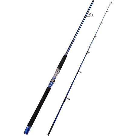 7 foot 2 piece spinning rod Clearance