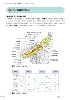 Amazon.co.jp: こだわる！ 神経ブロック 上肢 : 山蔭 道明, 汲田