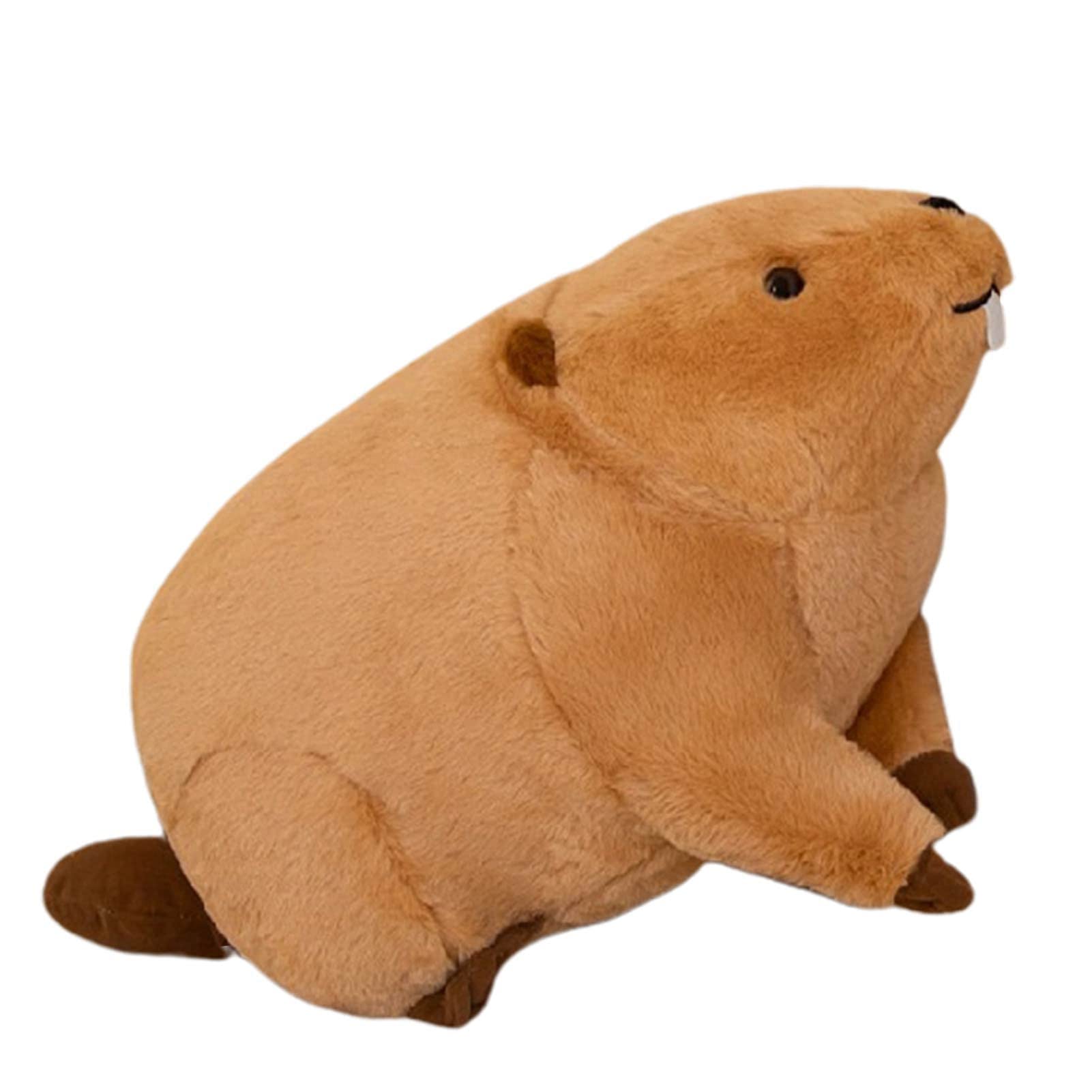 Ragondin farci | Adorable Coussin câlin en Peluche Nutria - Nutria Peluche Décor Doux Câlin PP Coton Farci Parfait Cadeau Forte Résilience pour Garçons Filles Enfants Petites Amies