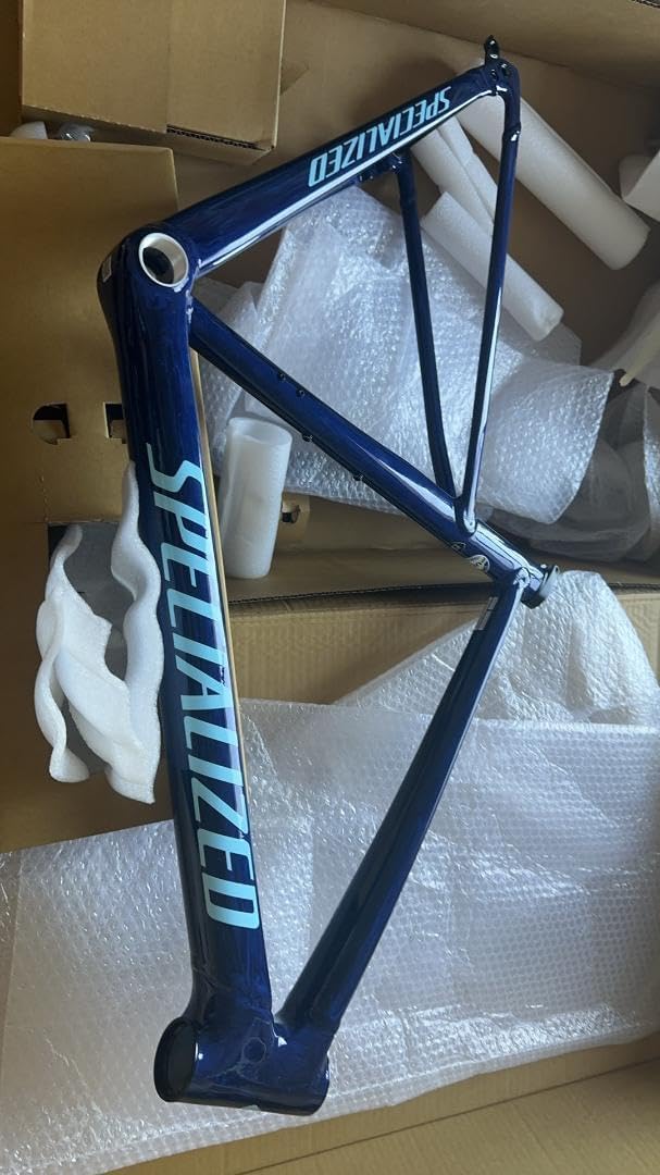 SPECIALIZED Allez Sprint完成車 専用アレースプリント2019 完成車