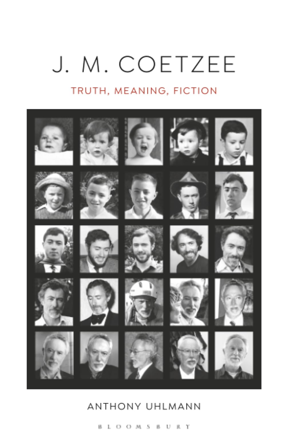 J. M. Coetzee: Truth, Meaning, Fiction