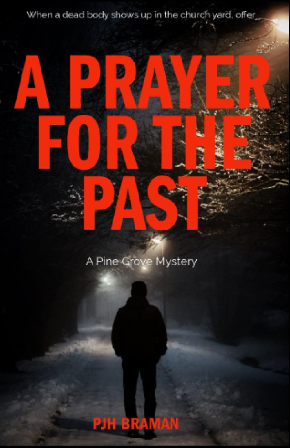 A Prayer for the Past: A Pine Grove Mystery