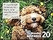 Puppies 2023 Mini Day-to-Day Calendar