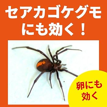 Amazon.co.jp: 【まとめ買い】クモがいなくなるスプレー 蜘蛛の