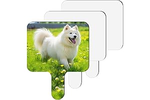 Sublimation Paddle Hand Fans