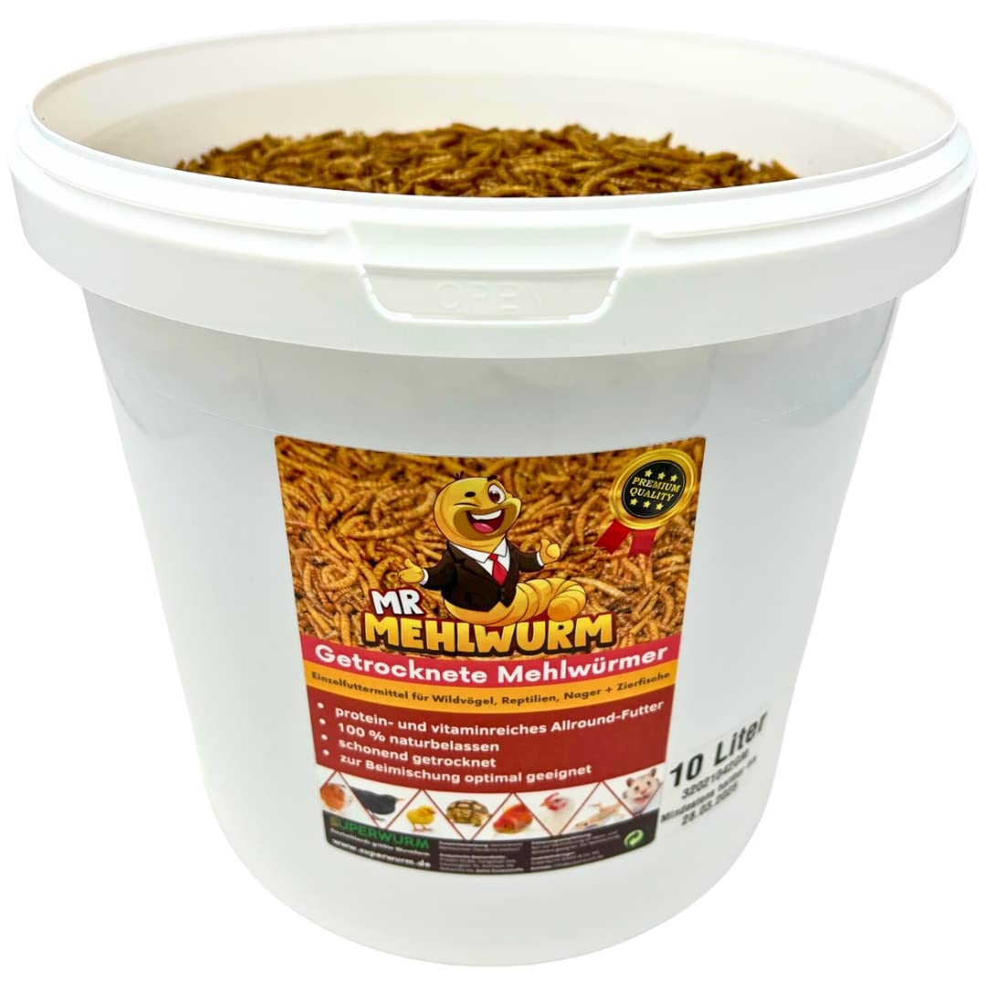 Mr. Mehlwurm 10 Liter getrocknete Mehlwürmer im Eimer (ca. 1,6 kg)- getrocknete Insekten - Top Premium Qualität, GRATIS Versand mit DHL - Futter Snack