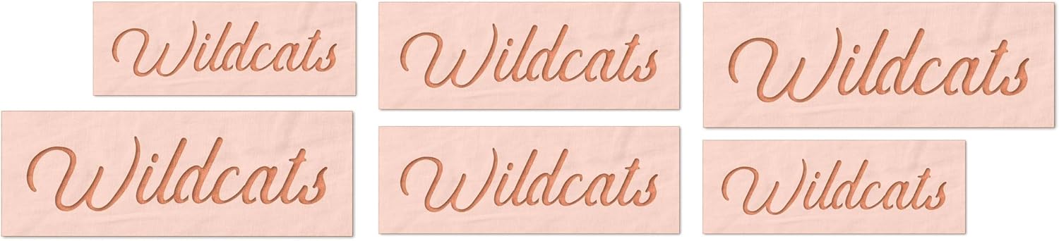 Stencil Stop Wildcats Stencil - Reusable for DIY Projects, Painting, Drawing, Crafts - 14 Mil Mylar Plastic (18 x 4.5 inches)