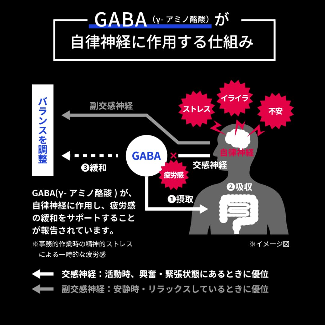 Amazon.co.jp: GABA ブルーネス ギャバ 疲労 集中力 ストレス 機能性