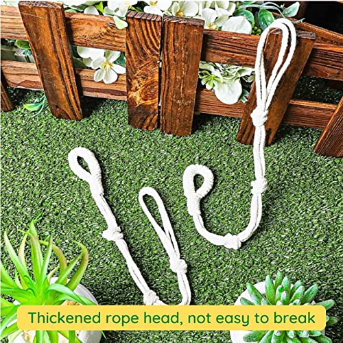 Image of ecofynd Pack of 5 25 inches Cotton Plant Hanger Extender Rope, Hanging Plant Pot Holders, Hanging Planters Extender (Color- Ivory)