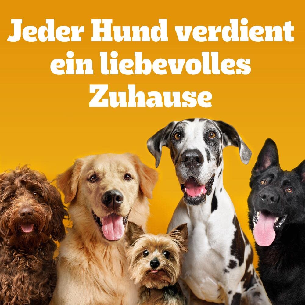 Pedigree Denta Stix Fresh/Zahnpflege-Snack für kleine Hunde