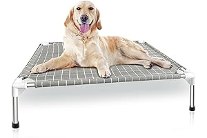Elevated Medium Dog Bed: Comfort and Support for Your Furry Friend