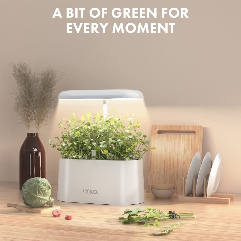 Amazon.co.jp: 水耕栽培システム LYKO 5ポッド 屋内ハーブガーデン