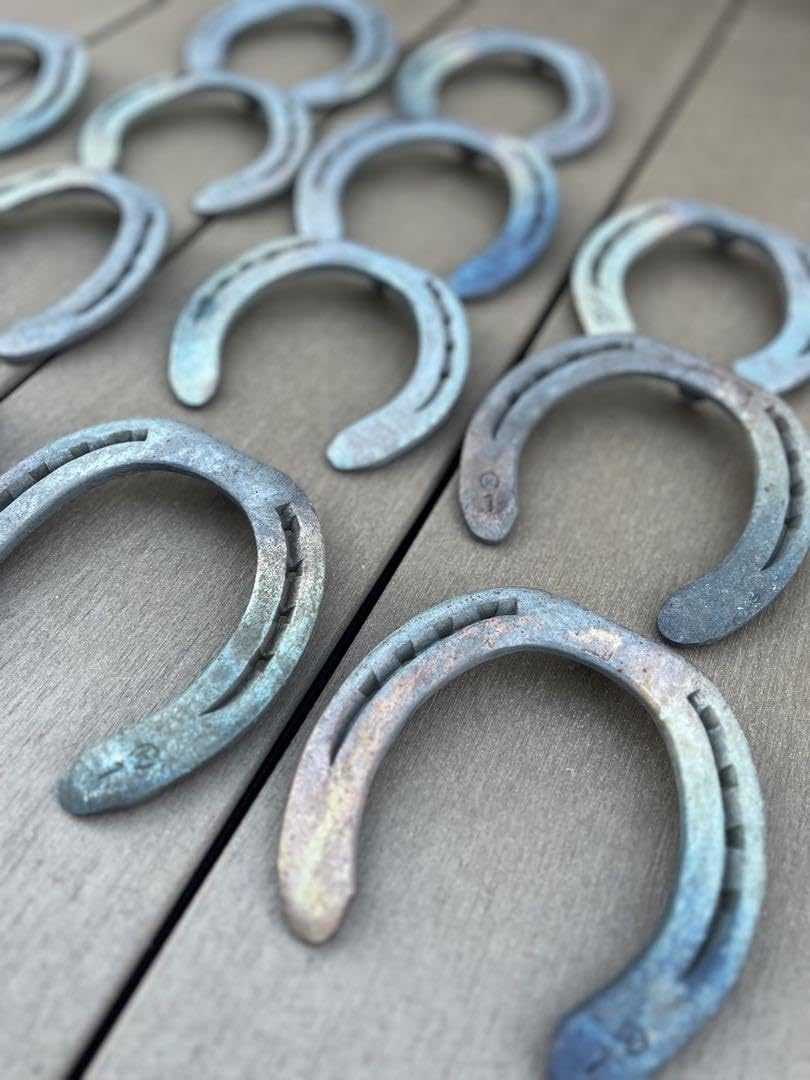 Amazon.co.jp: 蹄鉄 オーダーページ ゴミ除去 錆除去 焼き仕上げ 馬蹄