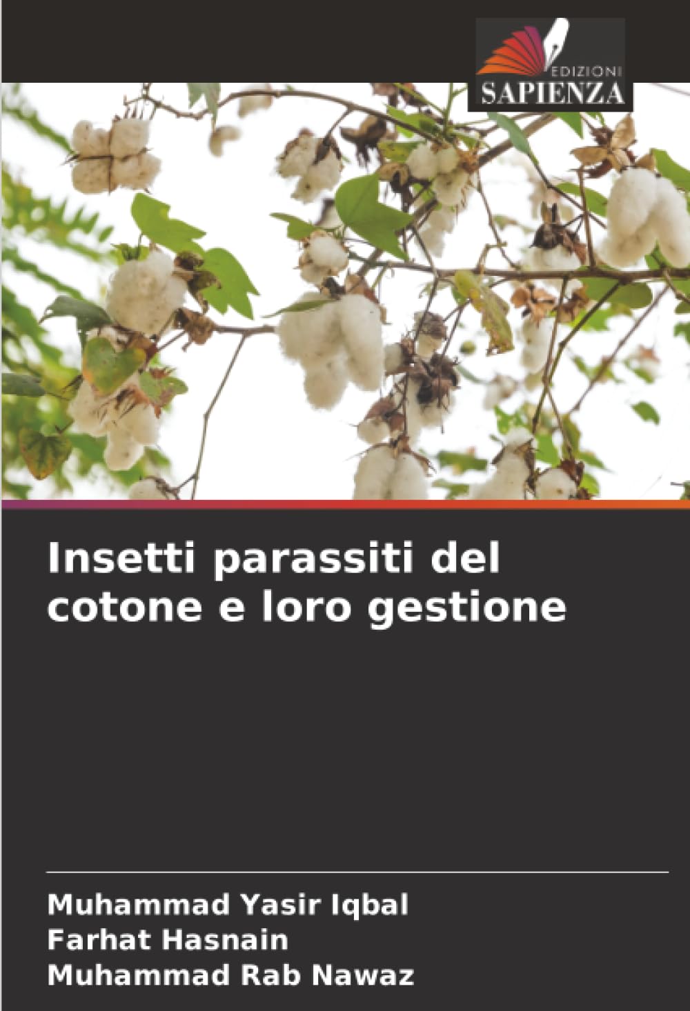 Insetti parassiti del cotone e loro gestione