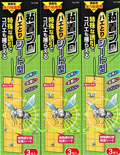 wT Sv nGƂ V[g^ RZbg USV[gŃnG쏜 wTF\Ă͂V[J_[[LevarageWo^i]