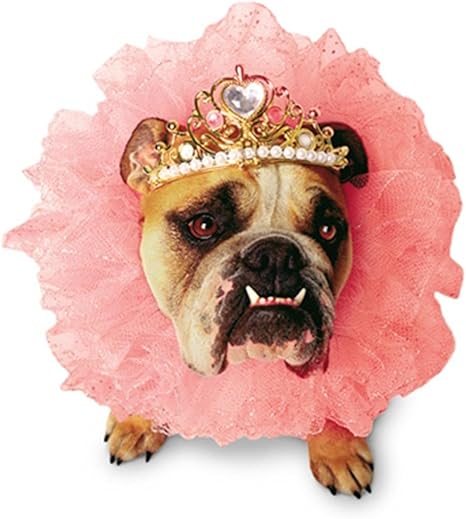Amazon Co Jp Zelda Wisdom Queen Dog Costume Zelda Wisdom Queen Dog Costume ゼルダの知恵 クイーン犬のコスチューム ハロウィン サイズ Medium ペット用品 Amazon Co Jp Zelda Wisdom Queen Dog Costume Zelda Wisdom Queen Dog Costume ゼルダの知恵 クイーン犬のコスチューム ハロウィン サイズ Medium ペット用品