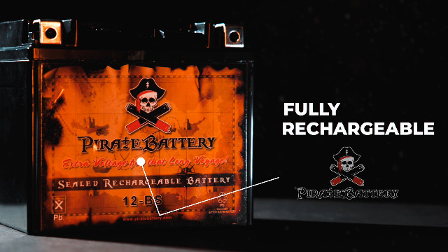 Amazon.com: ZIPPBATTERY 12V 9.5AH Maintenance-Free Battery for