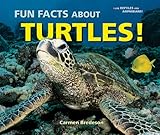 Fun Facts About Turtles! (I Like Reptiles and Amphibians!)