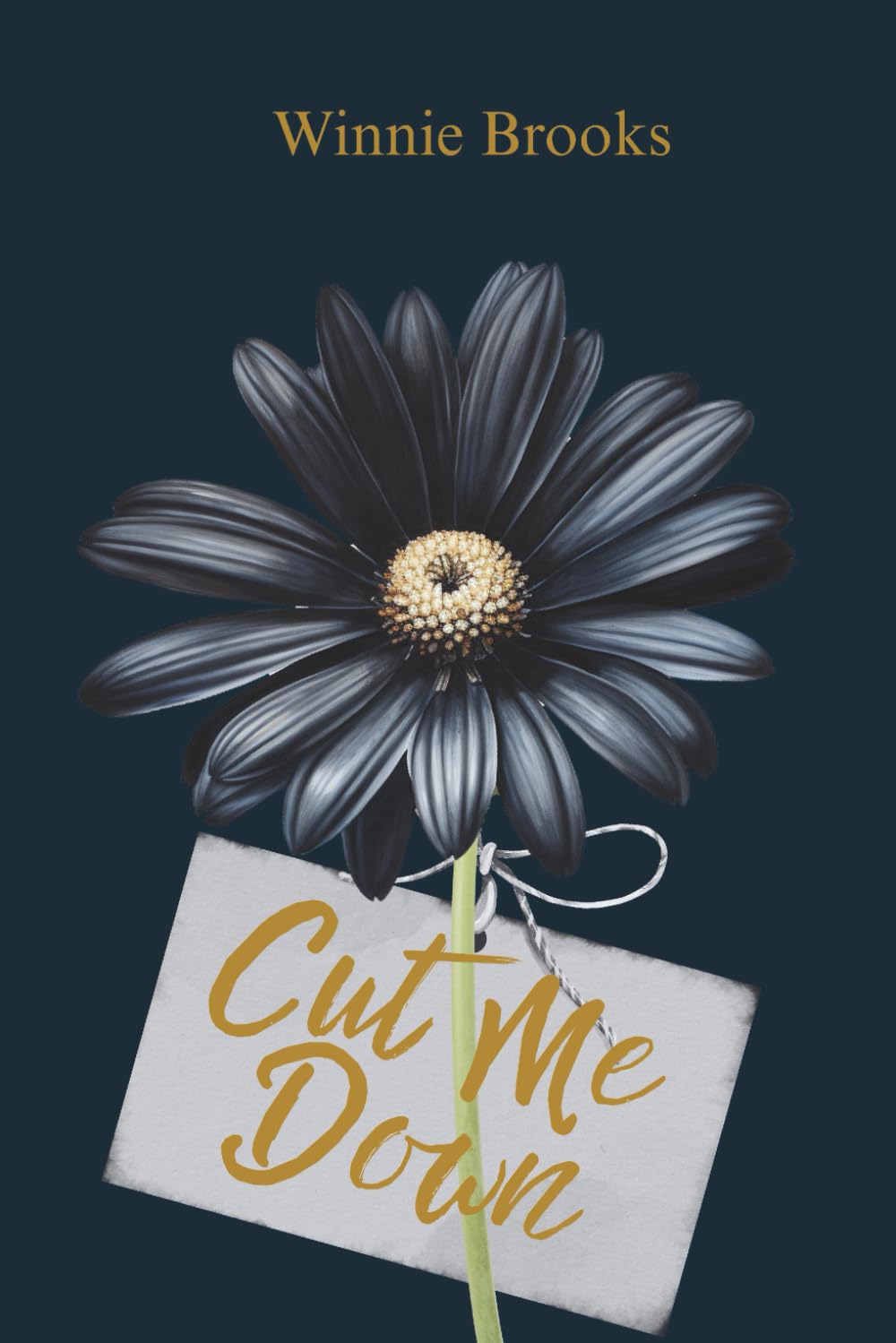 Cut Me Down: A Dark Stalker Romance (Descent To Darkness)