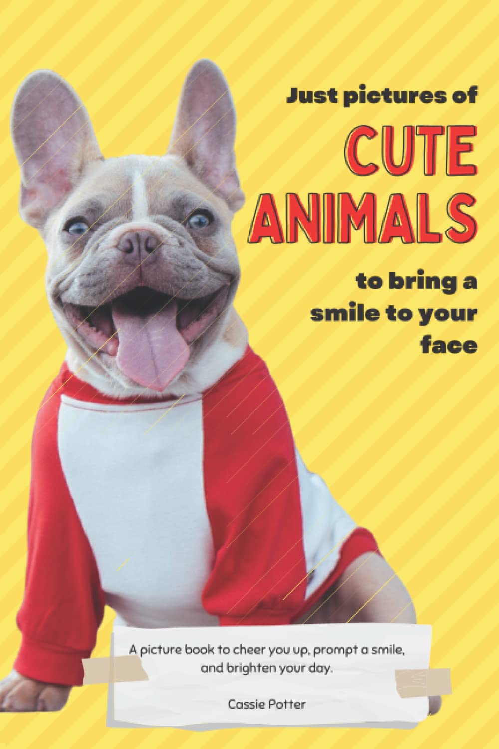 Just Pictures of Cute Animals To Bring a Smile to Your Face: A picture book to cheer you up, prompt a smile, and brighten your day.