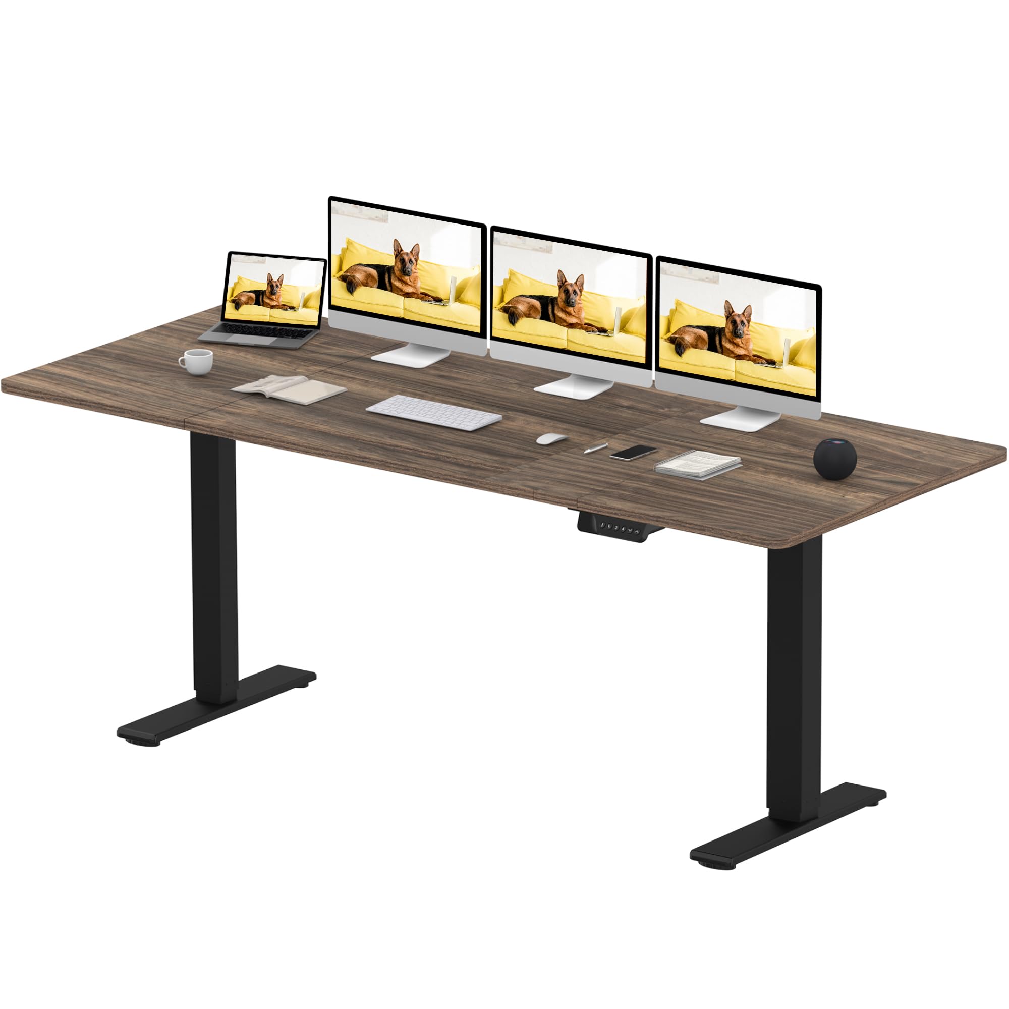 SANODESK Q1 Pro Escritorio Elevable Eléctrico con 2 Motores 200 x 80 cm con 4 Funciones de Memoria, Capacidad de 120 kg, Ideal para Oficina en Casa y Gaming (Marrón)