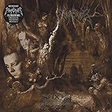 IX Equilibrium [LP][Reissue]