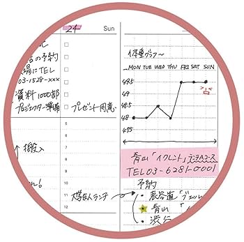 カナメ様 リクエスト 7点 まとめ商品 LE 5 À 7 ソフト スモール（グレインレザー） | Saint Laurent