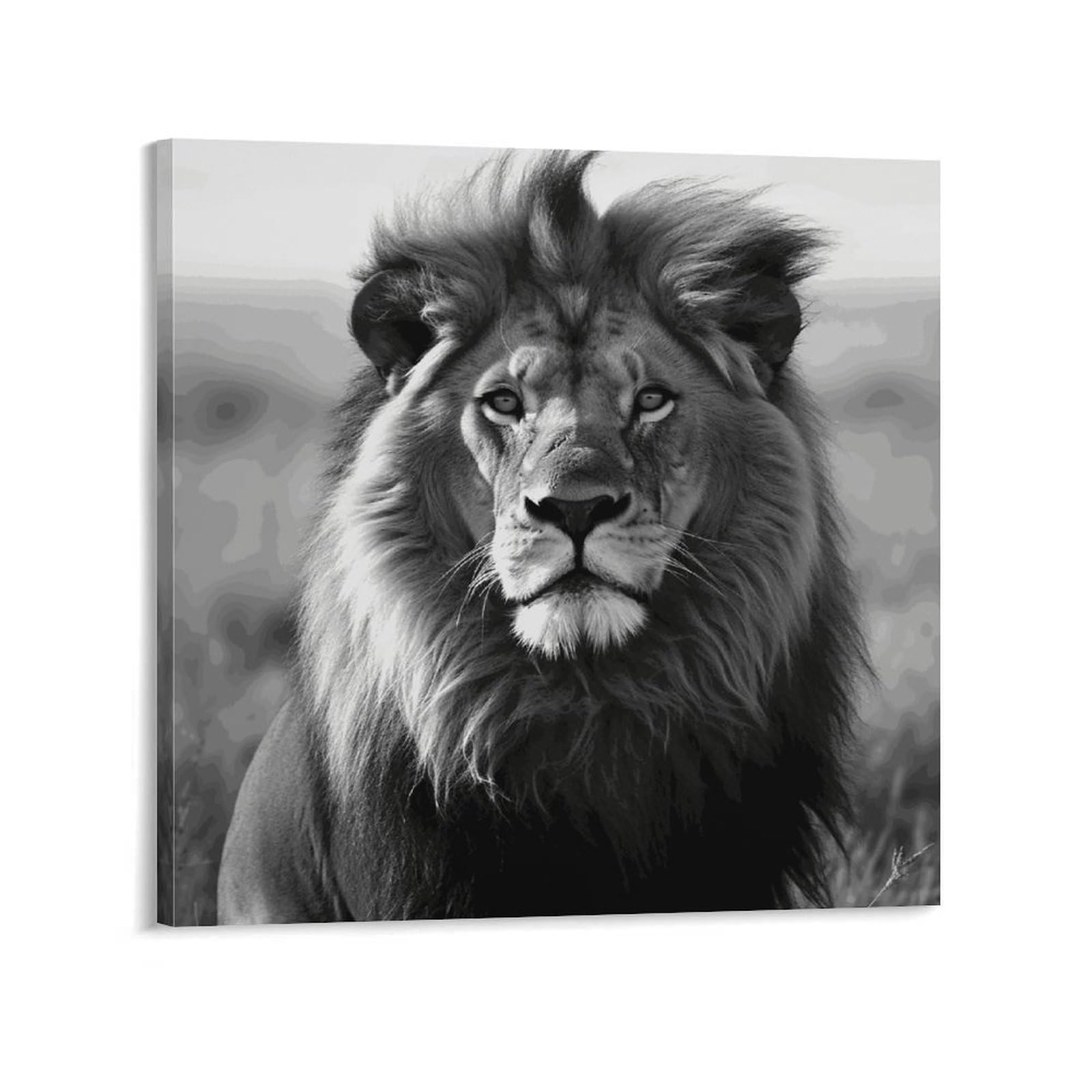 KLOPH African Lion Black And White Canvas Wall Art for Living Room 08x8inch Modern Artwork Painting for Bathroom Hanging Canvas Prints Aesthetic Wallart for Bedroom Kitchen Office Wall Decor