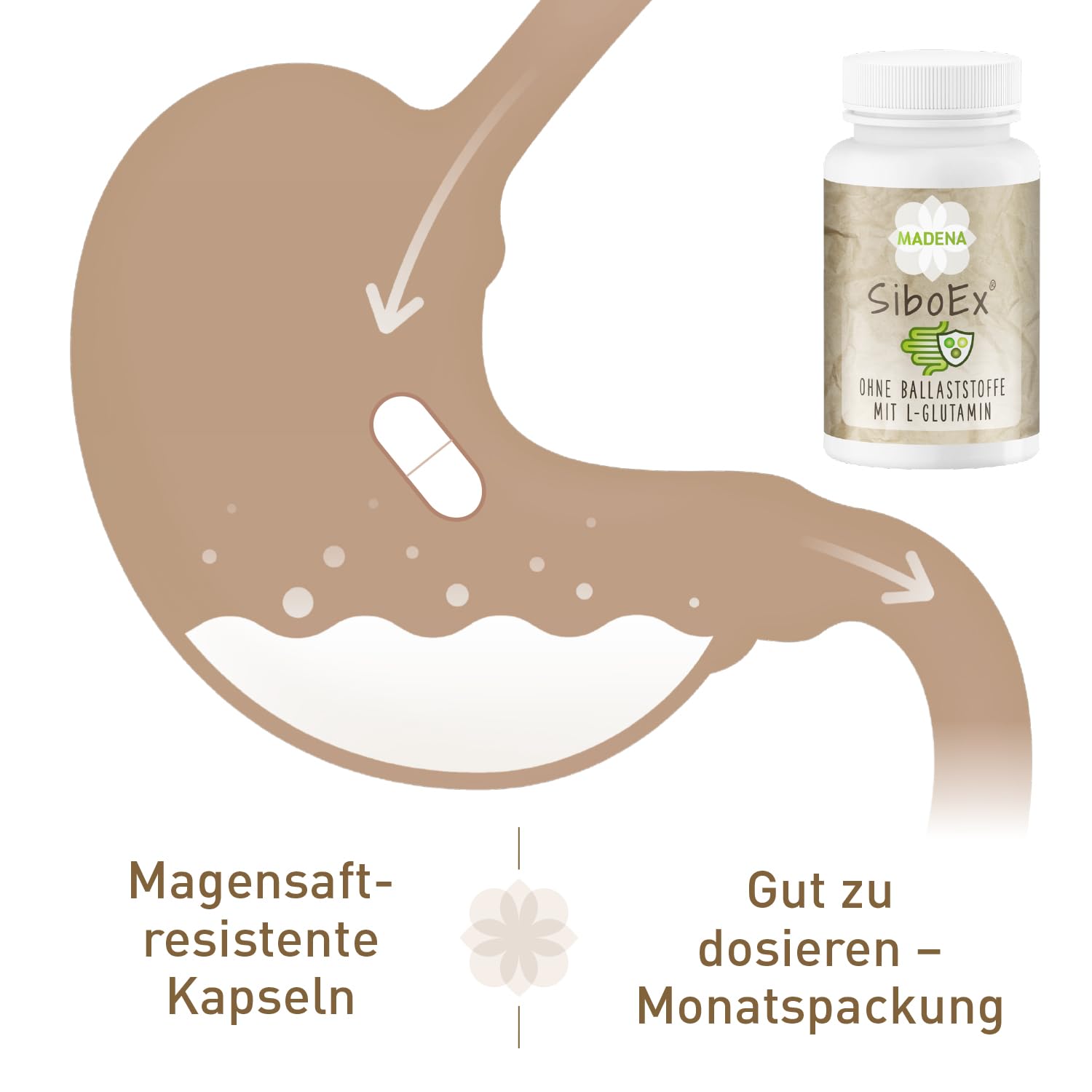 MADENA SiboEx Darmbakterien-Komplex ohne lösliche Ballaststoffe, 60 Kapseln mit 10 Bakterienstämmen (20 Mrd.) inkl. Bacillus coagulans, subtilis & clausii und L-Glutamin, vegan