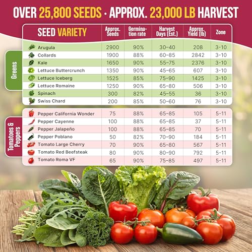 Organo Republic 40 Vegetable Seeds Variety Pack - 26000 Non GMO Heirloom Seeds for Planting Vegetables & Fruits in Bulk Individual Seed Packets, Home Garden Seeds for Hydroponic, Indoor & Outdoors - Image 5