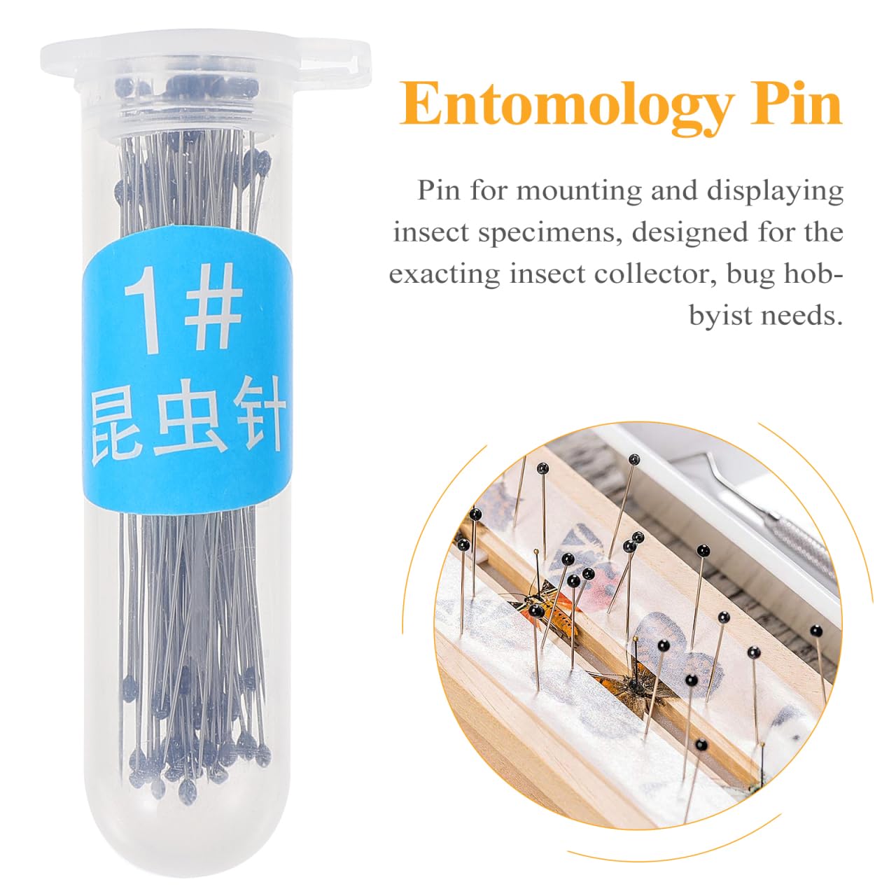 iplusmile Insekt Pin für Entomologie - 200 Stück Insektennadeln Edelstahl Insekten Pin für Schülerlabor Entomologie Auflösung Schmetterlinge Sammler, 4.2x0.1cm