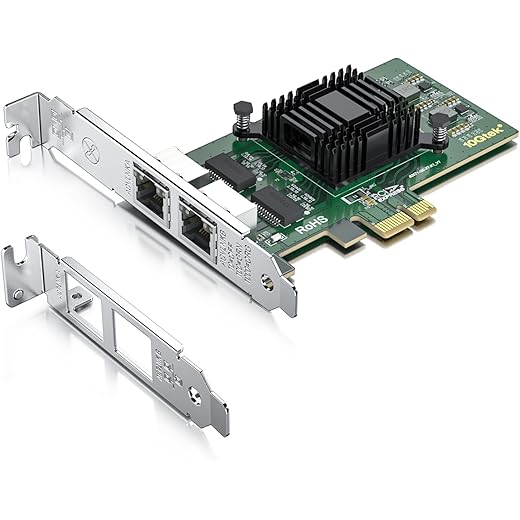 Gigabit Dual NIC 1GB