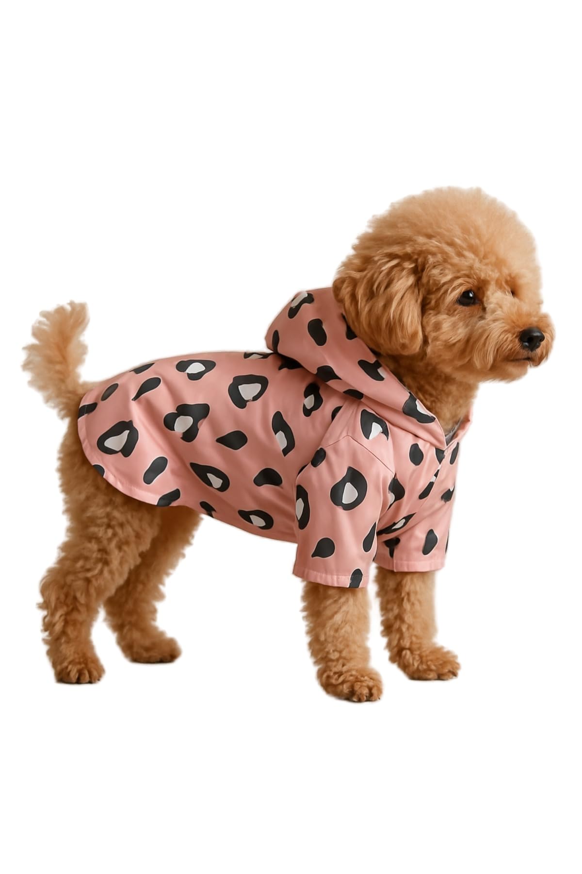 Kedi ve Köpek Kıyafeti & Elbisesi Yağmurluğu Açık Pembe Leopar Baskılı Fileli Yağmurluk M